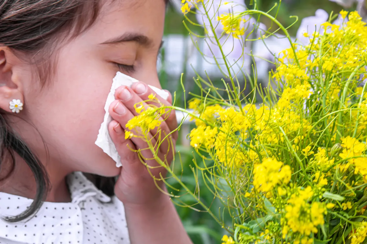 Girl sneezing into a tissue beside blooming yellow flowers